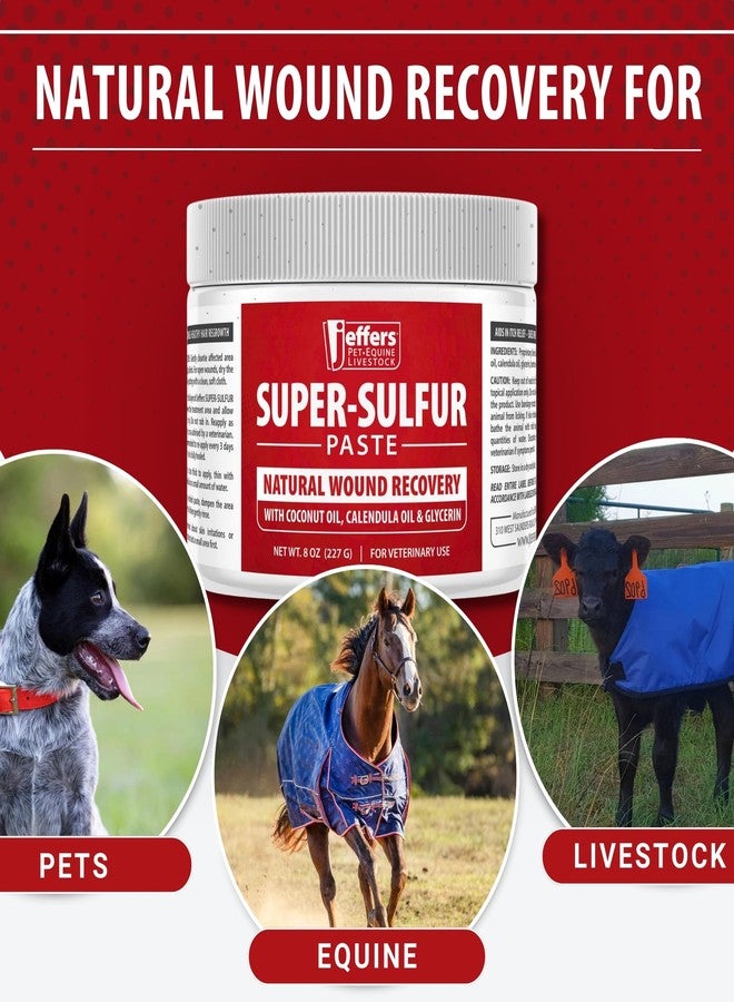 Jeffers Super Sulfur Healing Paste - Natural Skin & Wound Care for Horses, Dogs, Cats & Livestock - Soothing Sulfur Based Formula with Calendula, Bentonite Clay & Coconut Oil - 8 oz - Image 5
